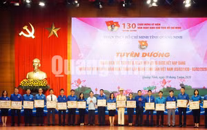 Ảnh 17