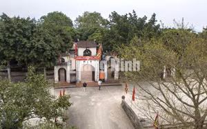 Ảnh 4