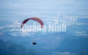 Ảnh 5