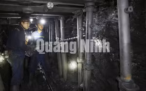Ảnh 21