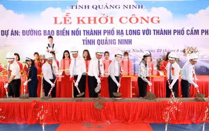 Ảnh 1