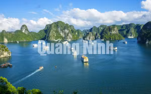 Ảnh 44