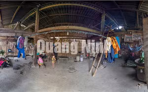 Ảnh 9