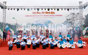 Ảnh 10