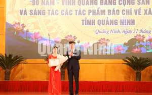 Ảnh 3