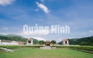 Ảnh 20