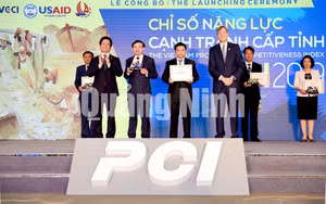 Ảnh 11