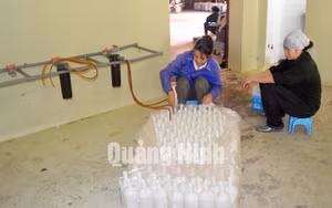 Ảnh 3