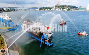 Ảnh 12
