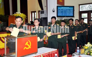 Ảnh 12