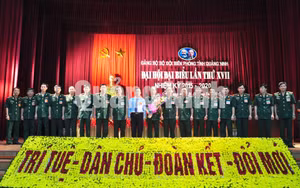 Ảnh 15