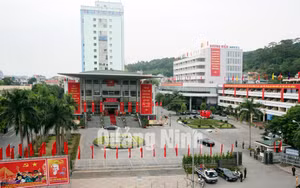 Ảnh 15