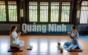 Ảnh 29