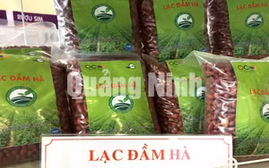 Ảnh 9