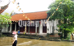 Ảnh 21