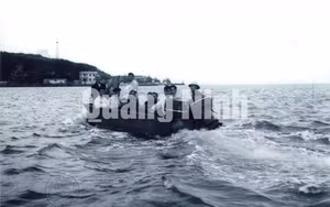 Ảnh 72
