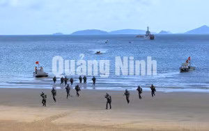 Ảnh 8
