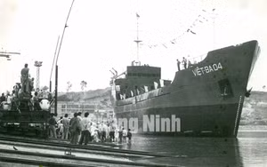 Ảnh 5