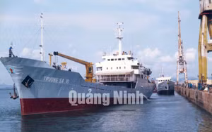 Ảnh 13