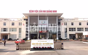 Ảnh 2