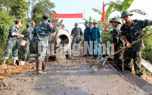 Ảnh 33