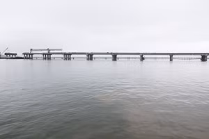 Ảnh 14