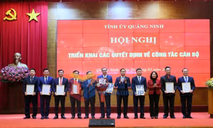 Ảnh 2