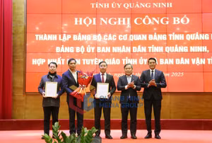 Ảnh 2
