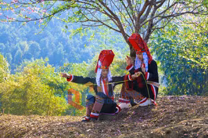 Ảnh 7