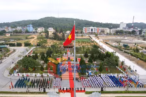 Ảnh 11