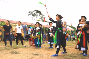 Ảnh 7