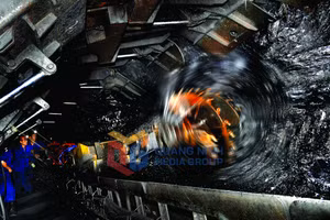 Ảnh 5
