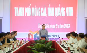 Ảnh 1