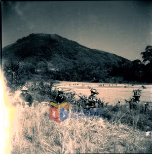 Ảnh 10