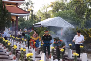 Ảnh 14
