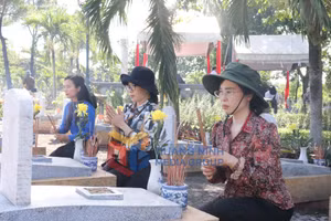 Ảnh 10