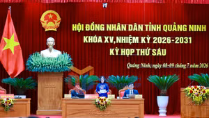 Ảnh 2