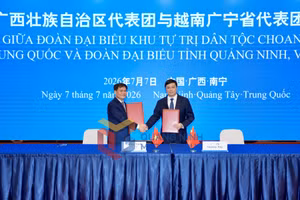 Ảnh 11