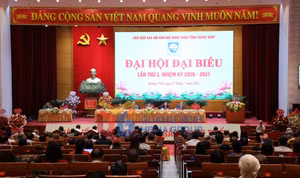 Ảnh 1