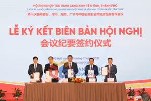 Ảnh 6