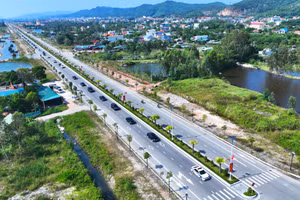 Ảnh 7