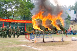 Ảnh 17