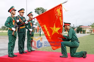 Ảnh 11