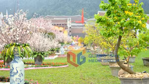 Ảnh 1