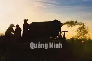 Ảnh 35