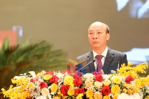 Ảnh 2