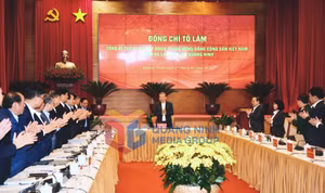 Ảnh 14
