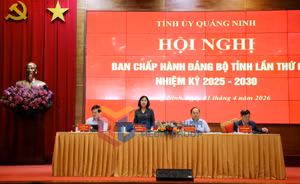 Ảnh 2