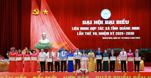 Ảnh 4
