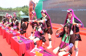 Ảnh 3